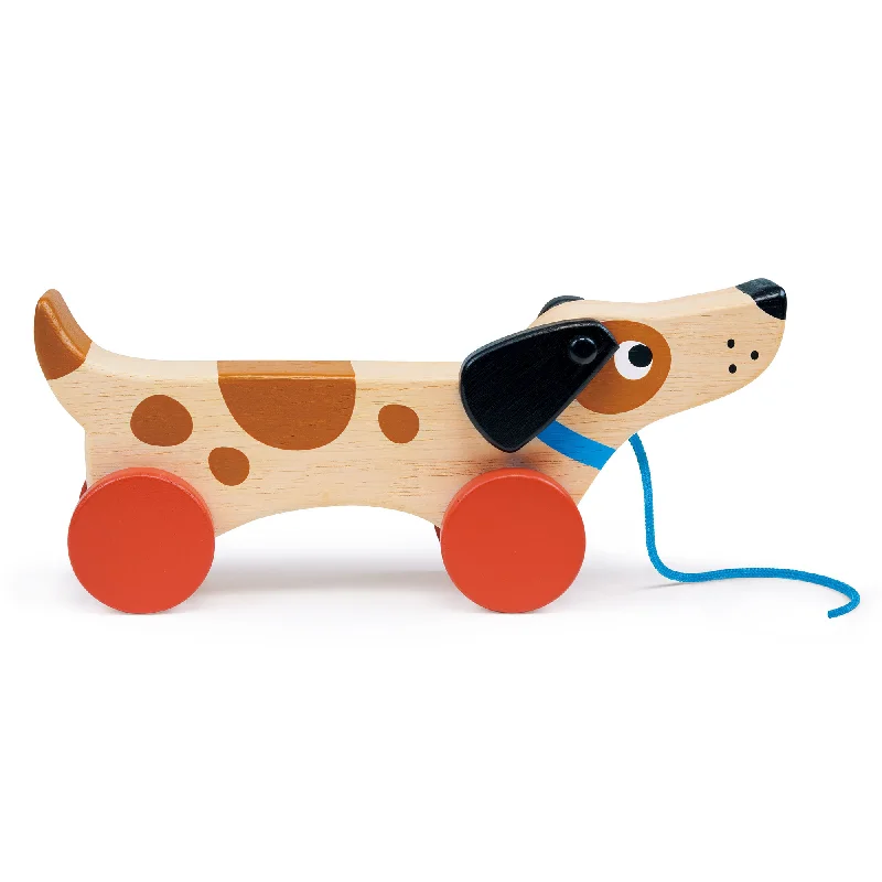 Wooden Musical Instrument Set including a Xylophone and Maracas for Little MusiciansPuppy on Wheels Wooden Musical Instrument Set including a Xylophone and Maracas for Little MusiciansPuppy on Wheels