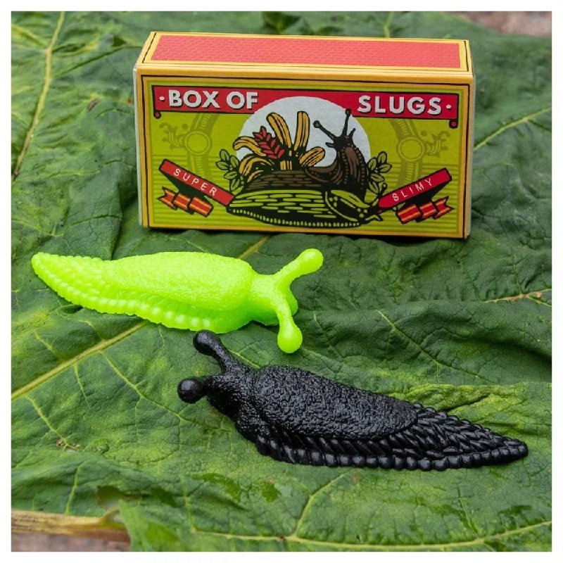 Eco - Friendly Wooden Educational Toys with a Gardening and Plant - Growing KitRex London Box of Slugs Eco - Friendly Wooden Educational Toys with a Gardening and Plant - Growing KitRex London Box of Slugs
