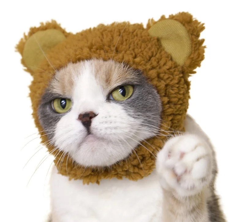 Cat Bear Cap - 1 random cap in a blind box