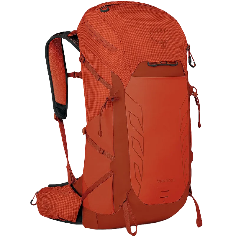 Multi-functional travel backpack with a hidden pocket for valuablesTalon Pro 30